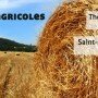 une_comices_agricoles