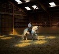 chapiniere_cheval