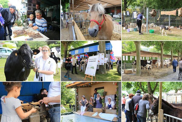 comice_montoire_mosaique