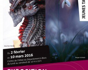 16_03_10_jeunes_talents_affiche