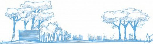 16_03_19_biennale_arbre_visuel2