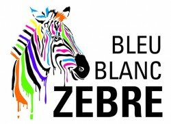 bleu_blanc_zebre